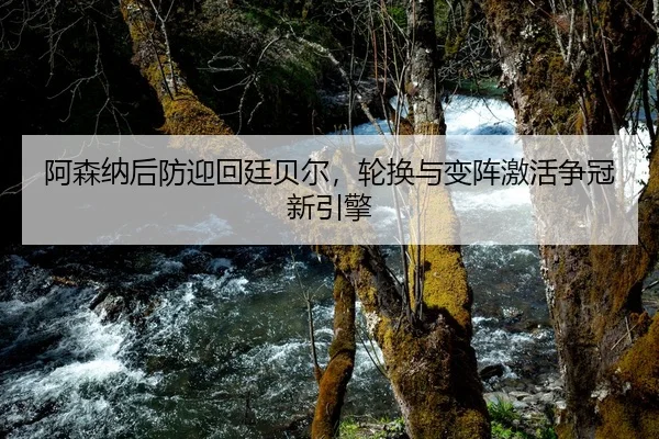 阿森纳后防迎回廷贝尔，轮换与变阵激活争冠新引擎