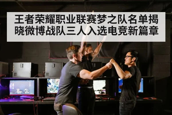 王者荣耀职业联赛梦之队名单揭晓微博战队三人入选电竞新篇章