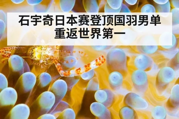 石宇奇日本赛登顶国羽男单重返世界第一